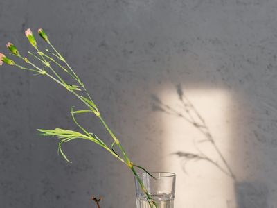 Sunlight streaming into a minimalist practice space.